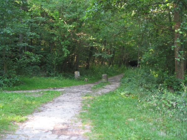 chemin Jean Racine parc naturel régionnal de la vallée de chevreuse