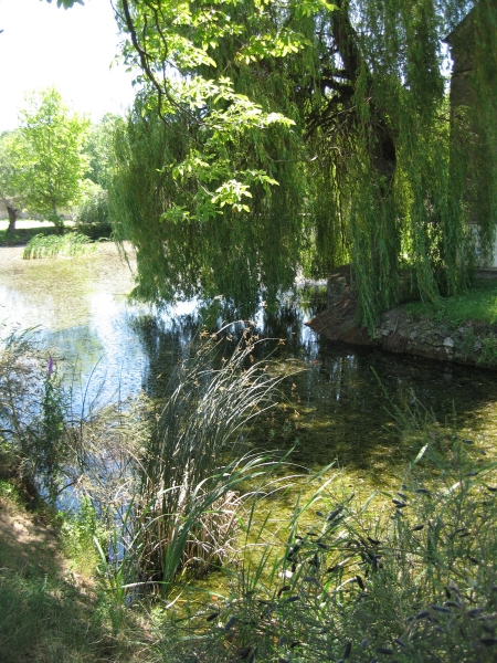 Marre aux granges de Port Royal