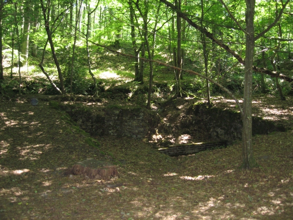 reste de Lavoir aux vaux de cernay
