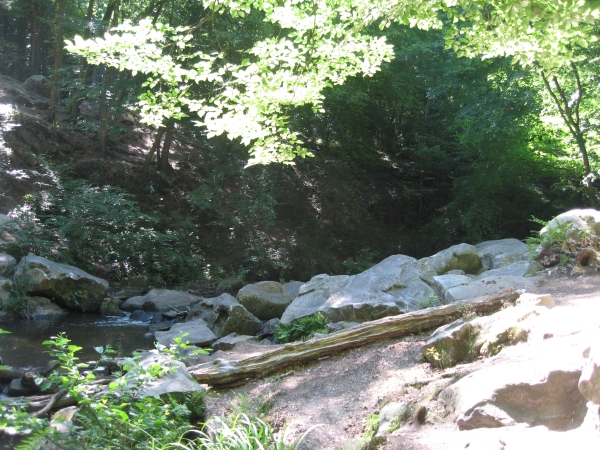 Le vaux de cernay