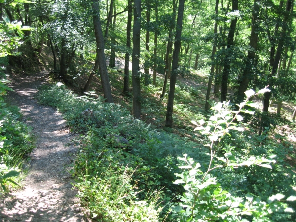 vaux de cernay