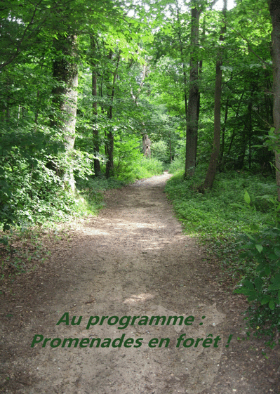 promenade