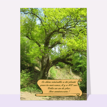 Anniversaire du venerable chene