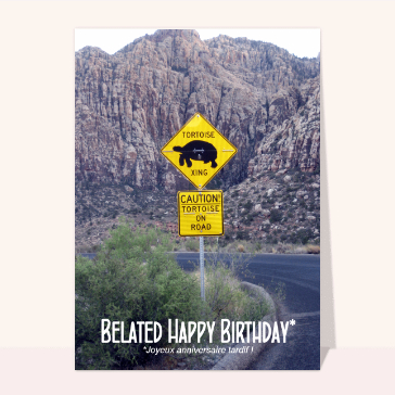 Belated Happy Birthday Cartes anniversaire en retard