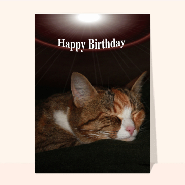 Carte joyeux anniversaire en plusieurs langues : Happy birthday petit chat