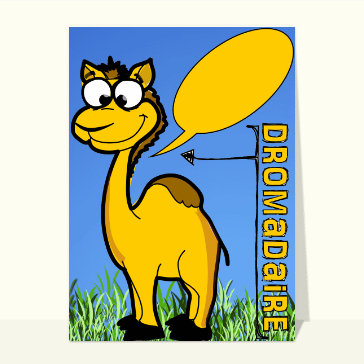 Dromadaire
