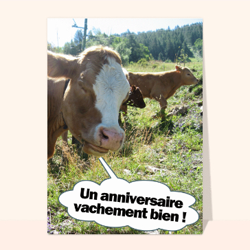 Un anniversaire vachement bien