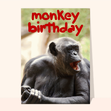 Monkey Bithday