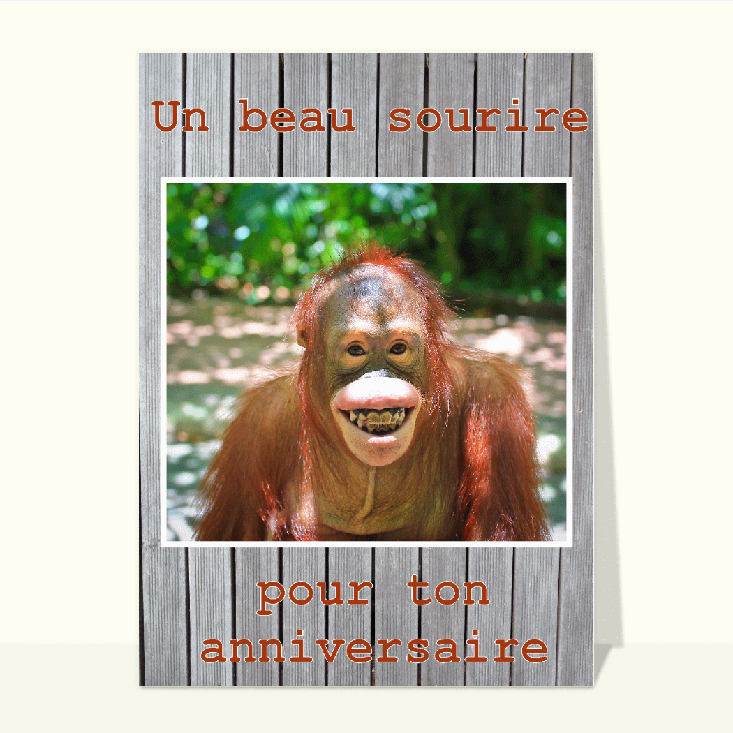 Cartes D'anniversaire Lapin Pour Elle Et Lui – Pyramide D'animaux – Carte D'anniversaire Pour Maman, Papa, Frère, Sœur, Tante, Oncle, Cousin, Ami, Famille, Collègue, 145 Mm X 145 Mm