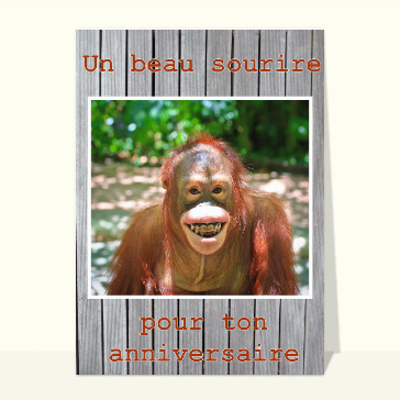 Le sourire du singe pour ton anniversaire