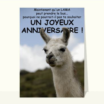 Joyeux anniversaire du lama