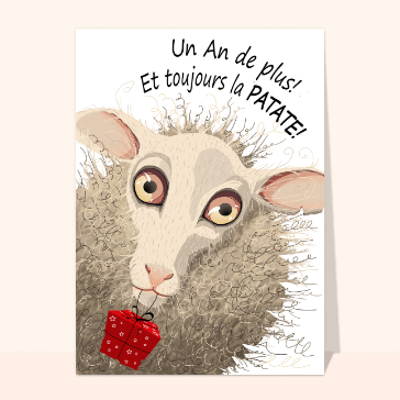 Joyeux anniversaire et toujours la patate