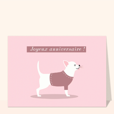 Carte anniversaire animaux : Joyeux anniversaire chihuahua blanc