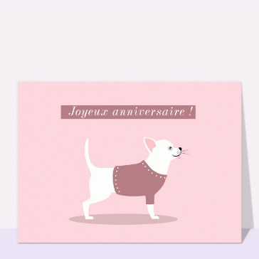 Joyeux anniversaire chihuahua blanc