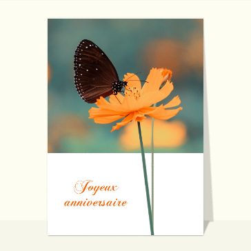 Carte anniversaire fleurs : Joyeux anniversaire rose