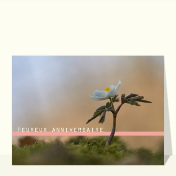 Carte anniversaire fleurs : Joyeux anniversaire et le pont aux fleurs