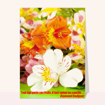 Carte anniversaire fleurs : Une citation et des fleurs collorées