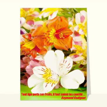 Carte anniversaire fleurs : Une citation et des fleurs collorées