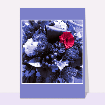 Carte anniversaire fleurs : Fleur rouge sur un fond violet