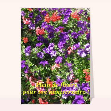 Carte anniversaire fleurs : plein de fleurs