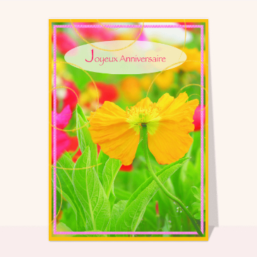 Carte anniversaire fleurs : Joyeux anniversaire aux couleurs flahy