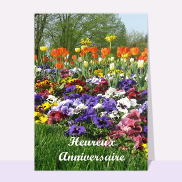 Carte anniversaire fleurs : Heureux anniversaire et tulipes