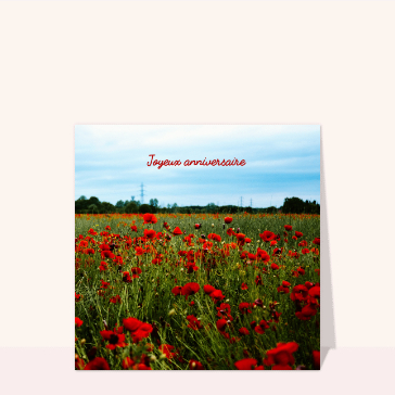 Joyeux anniversaire et coquelicots