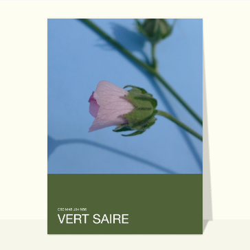 Vert Saire