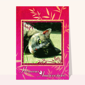 Carte anniversaire chat : Petit chat heureux anniversaire