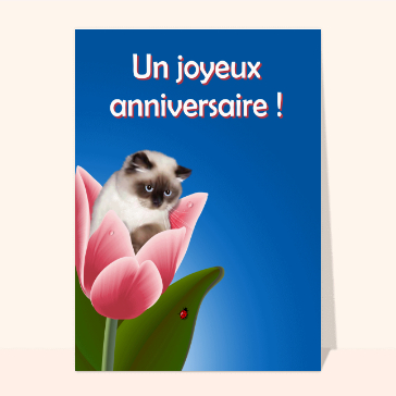 Un joyeux anniversaire avec un petit chat