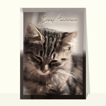 Carte Joyeux anniversaire petit chat gris