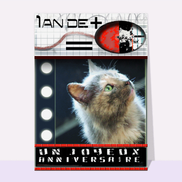 Carte anniversaire chat : Un an de plus avec un chat