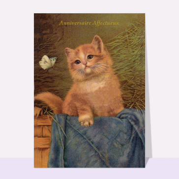 Anniversaire affectueux avec un petit chat roux