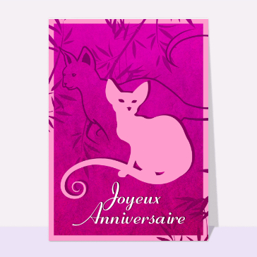 Joyeux anniversaire et chat rose