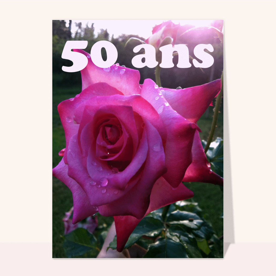 Carte Anniversaire 50 ans Femme Dorure Fuchsia Rose rose fuschia, or. cf photos - Fleurs Couleur selon disponibilité 