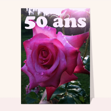 Une belle rose pour les 50 ans