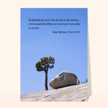 Etre homme et non arbre ou rocher