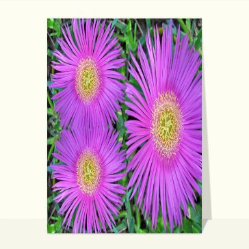 80 en fleurs