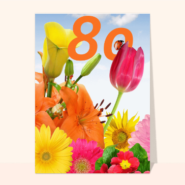 Une coccinelle sur le 80