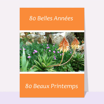 80 beaux printemps