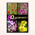Cartes anniversaire 80 ans pour votre texte