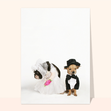 carte de fiançailles : Fiancailles petits chiens