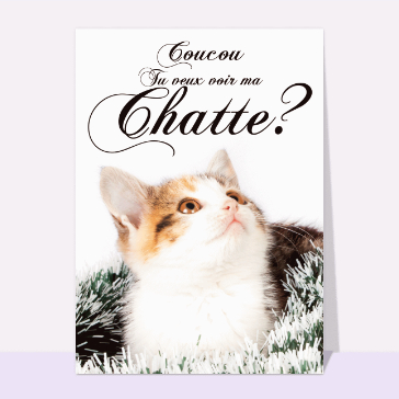 Carte Saint Valentin humour : Tu veux voir ma chatte?