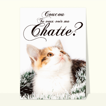 Tu veux voir ma chatte?