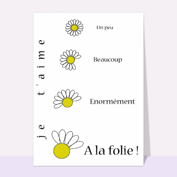 Je t aime a la folie