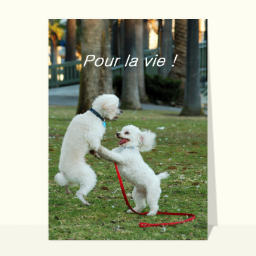 Carte Saint-Valentin mignonne : Chien chien pour la vie