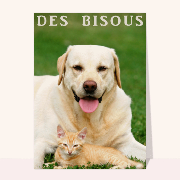 Des bisous pour la Saint Valentin
