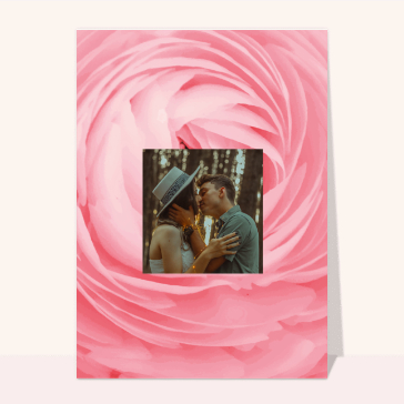 Une belle rose rose