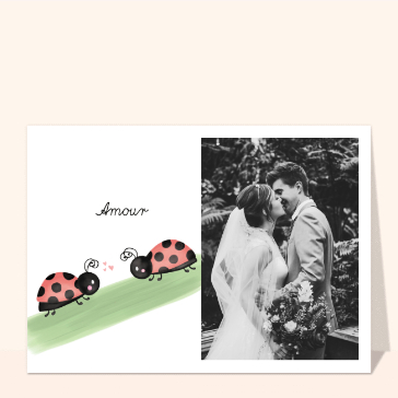 Un amour de coccinelles