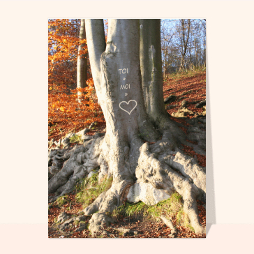 carte saint valentin : Amour gravé dans un arbre